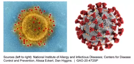 Two images of types of coronaviruses.