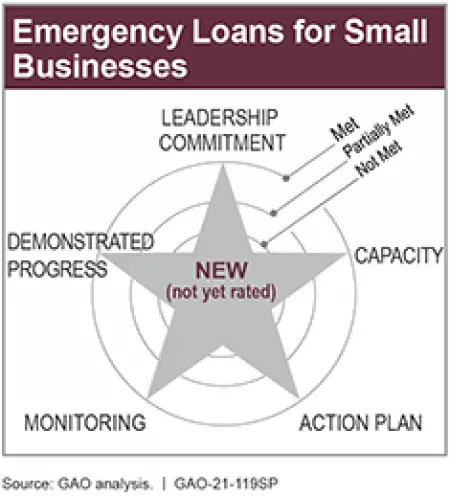 Emergency Loans for Small Businesses