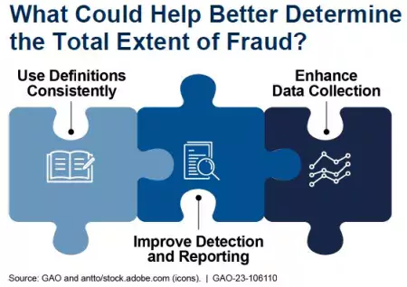 Graphic that looks like puzzle pieces, each showing what is needed to understand the extent of fraud: Consistent definitions, Improved detection and reporting, Enhanced data collection