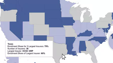 Concentration of Enrollees among Private Insurers Interactive Map