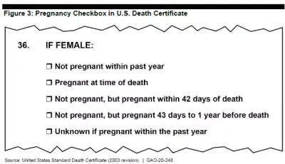 Image showing information collected noting death during pregnancy on U.S. death certificate. 