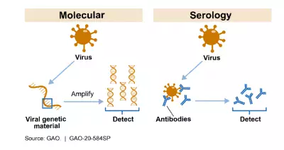 Figure showing the differences between molecular vs. serology testing.
