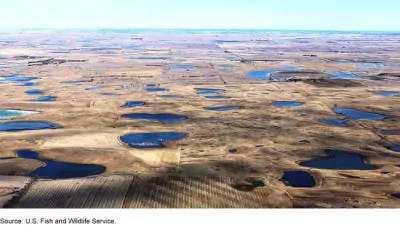 Wetland "Potholes" and Farm Land in North Dakota