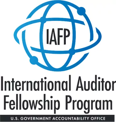 International Auditor Fellows logo