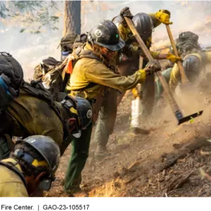 Photo showing federal wildland firefighters in their firefighting gear working to slow a fire in a forest. 