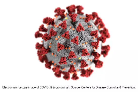 COVID-19 (coronavirus) close up.