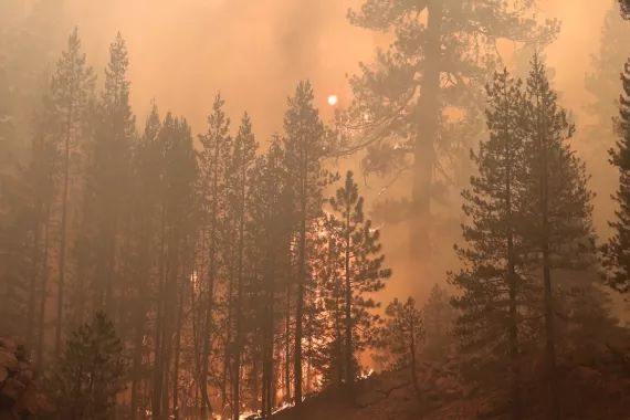 Wildfires Are Deadlier Than Ever - What Can FEMA do?