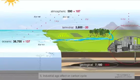 Depiction of the Global Carbon Cycle Changes Over Time