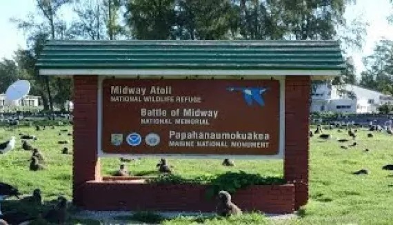 Midway Atoll&#039;s History and Habitat